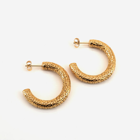 Boucles d'oreilles Ariella dorées