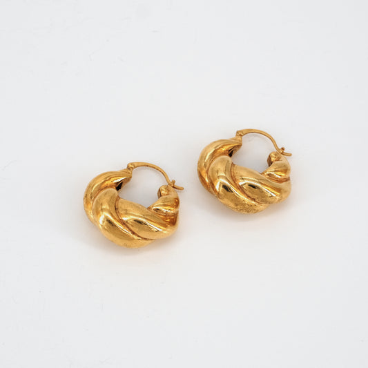 "Fancy" earrings