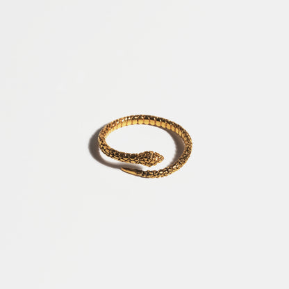 Box "Snake"