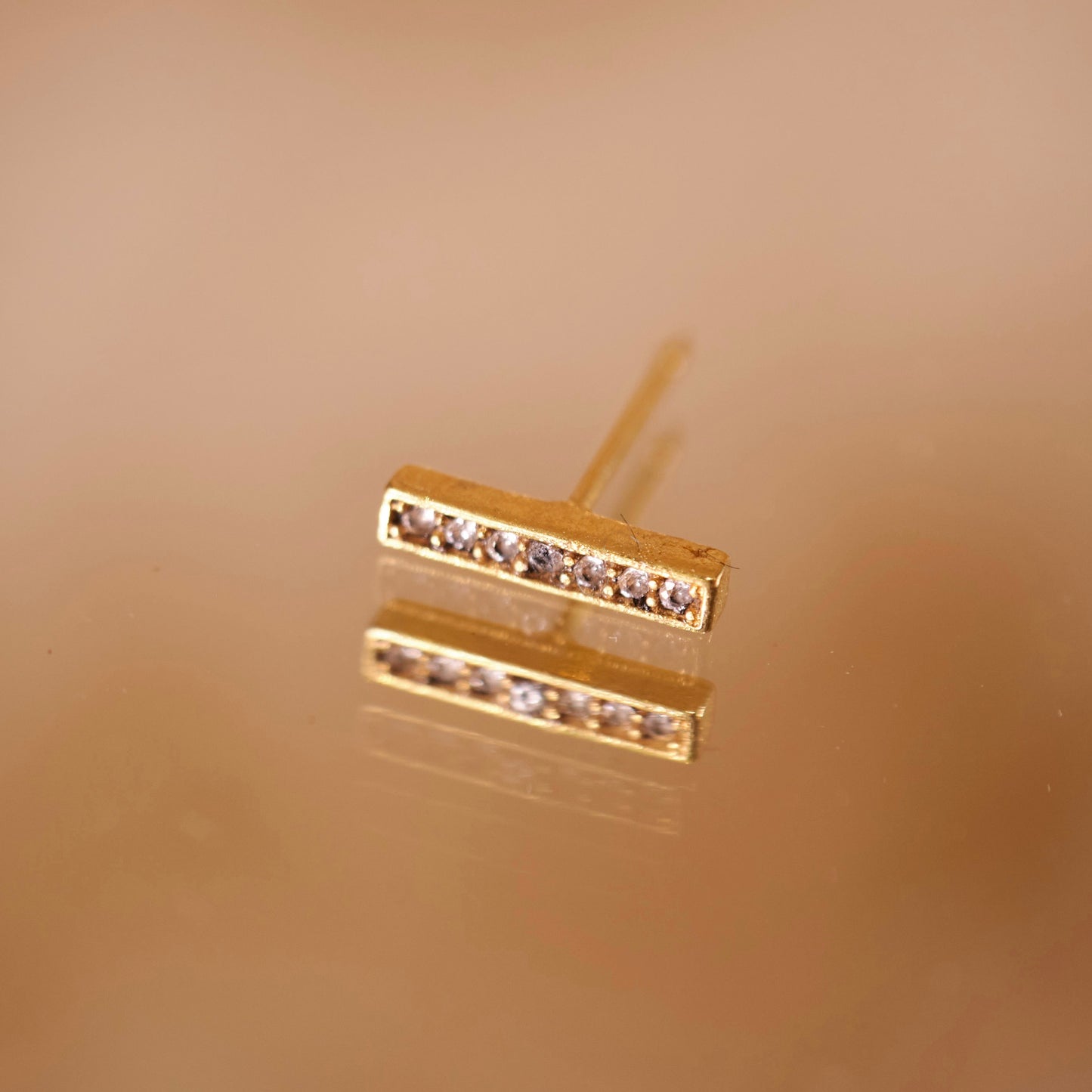 植物学单只耳环