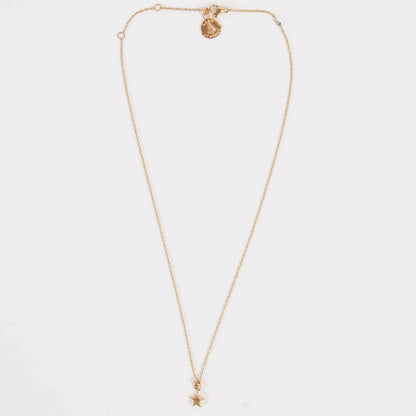 小金星项链