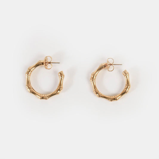 Bamboo gold earrings 